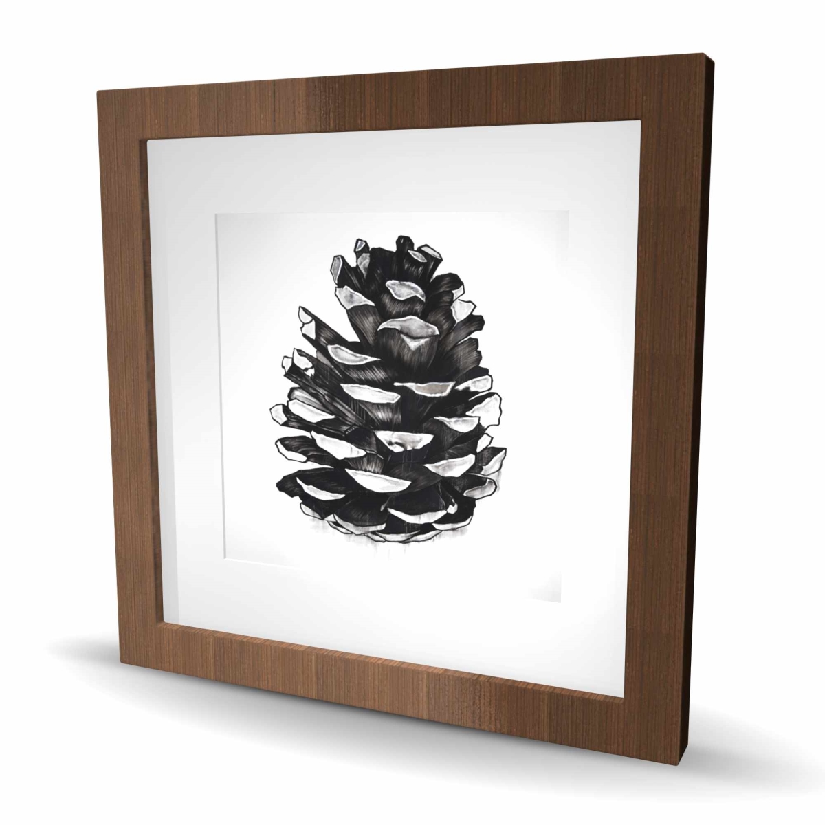 C1FM16165ZFSDC 16 x 16 in. Pine Cone - Holidays Black & White Framed Matted Print Decor