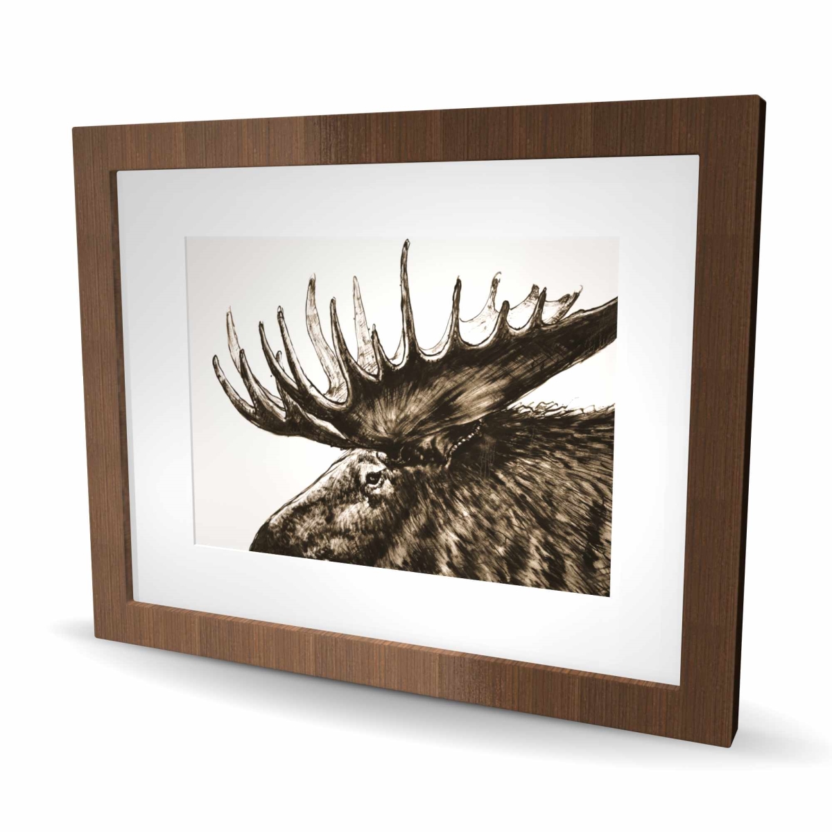 C1FM1620PMZ3IU 16 x 20 in. Moose Plume Sepia - Rustic Deer Framed Matted Print Decor