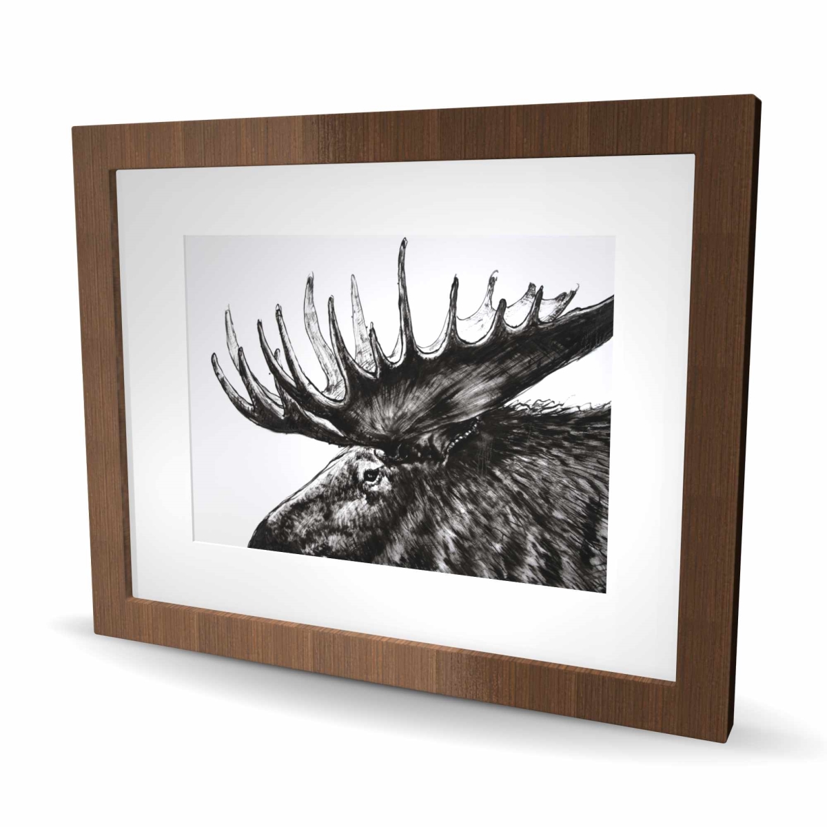 C1FM1620LWHKF0 16 x 20 in. Moose Plume - White Holidays Framed Matted Print for Decor