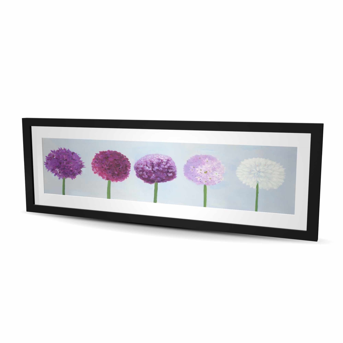 C1FM1648I0AAIH 16 x 48 in. Dahlia Pompon - Office Hyperrealist Framed Print for Decor