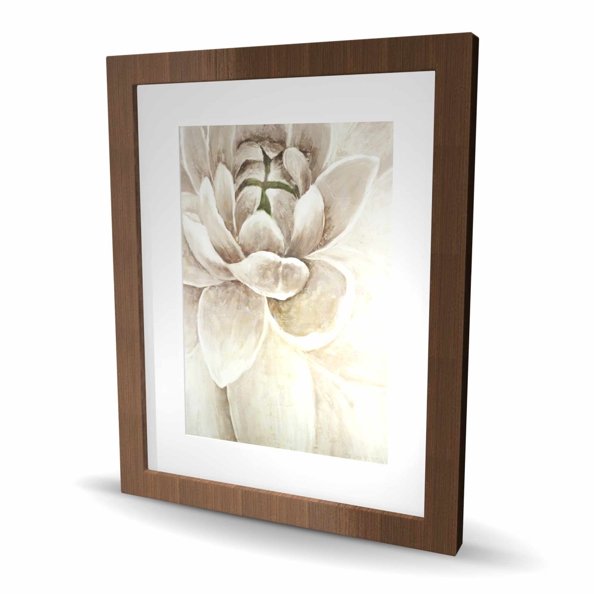 C1FM1620BFLGNX 16 x 20 in. Delicate Chrysanthemum - Botanical Office Framed Print Decor