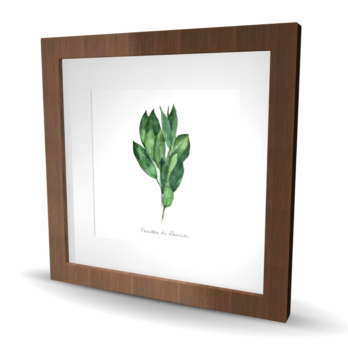 C1FM1616D1UL22 16 x 16 in. Bay Leaves Bundle - Framed Matted Print for Home Decor