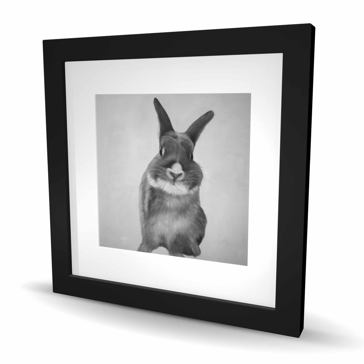 C1FM1616D5ZK5X 16 x 16 in. Funny Gray Rabbit - Hyperrealist Framed Matted Print Decor