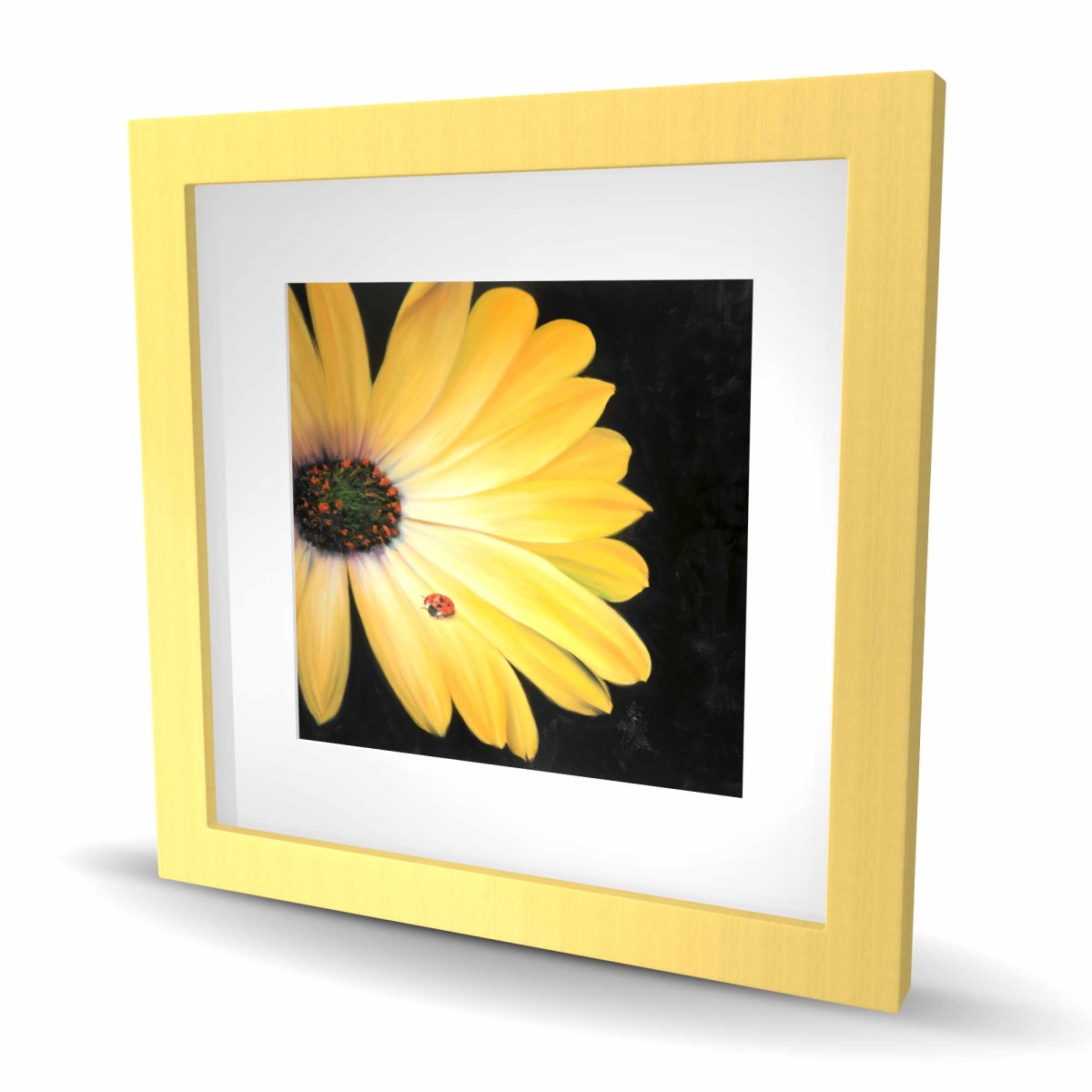 C1FM16169X0WAJ 16 x 16 in. Yellow Daisy & Ladybug - Botanical Romantic Framed Print