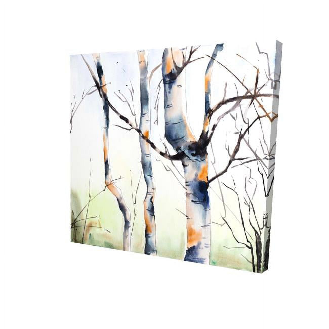 16 x 16 in. Three Small Birch Trees-Print on Canvas