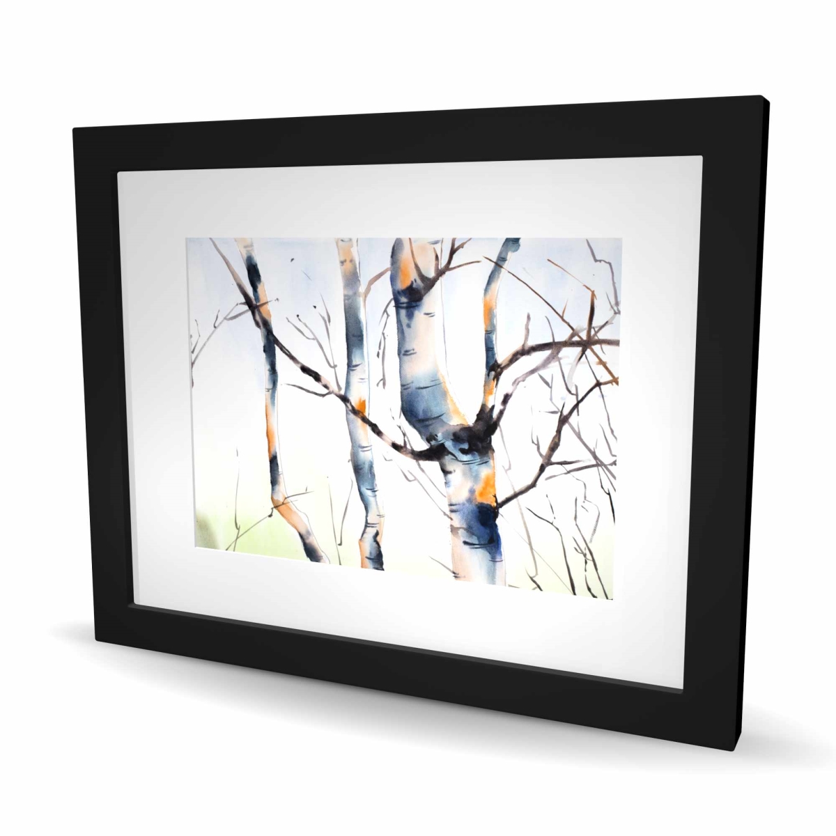 C1FM162042V2ID 16 x 20 in. Three Small Birch Trees - Framed Matted Print for Home Decor