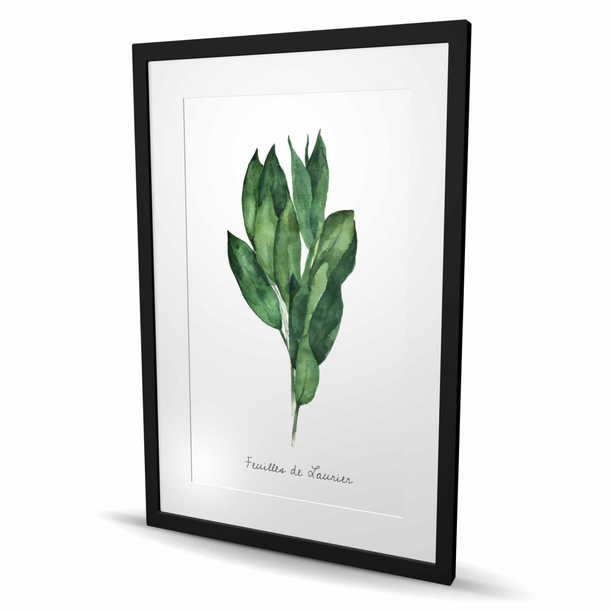 C1FM2436A8ACWD 24 x 36 in. Bay Leaves Bundle - Framed Matted Print - Kitchen Decor