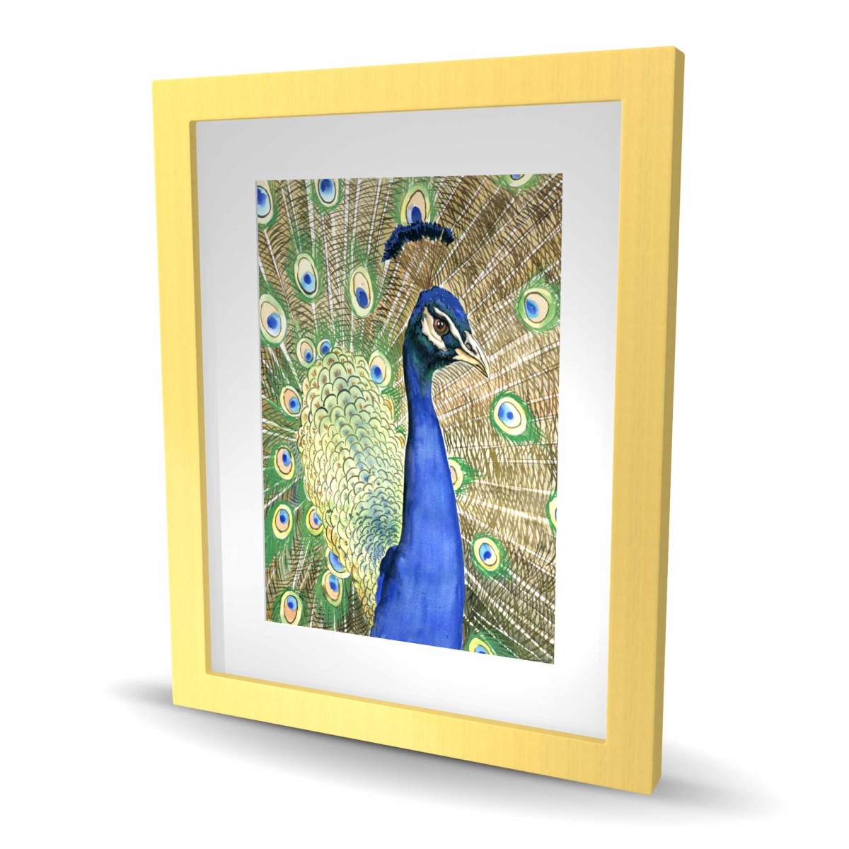 C1FM1620LATC52 16 x 20 in. Peacock - Brown Framed Matted Print for Home Decor