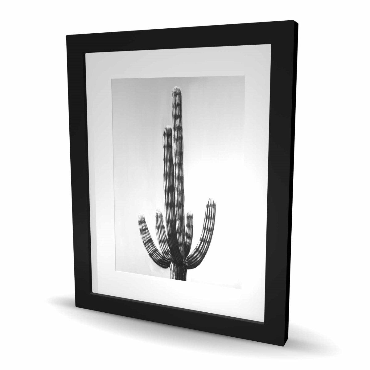 C1FM1620LZ4XYM 16 x 20 in. Cactus - Framed Matted Print for Home Office Decor