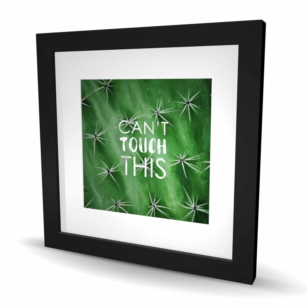 C1FM16163582BR 16 x 16 in. Cannot Touch This - Botanical Silver Framed Matted Print