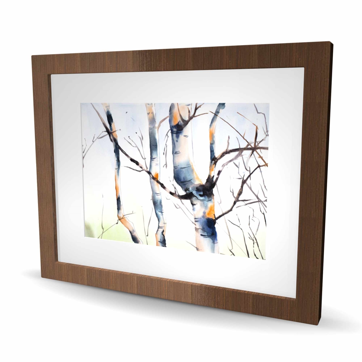 C1FM16206R4ED7 16 x 20 in. Three Small Birch Trees Framed Matted Print - Bedroom Decor