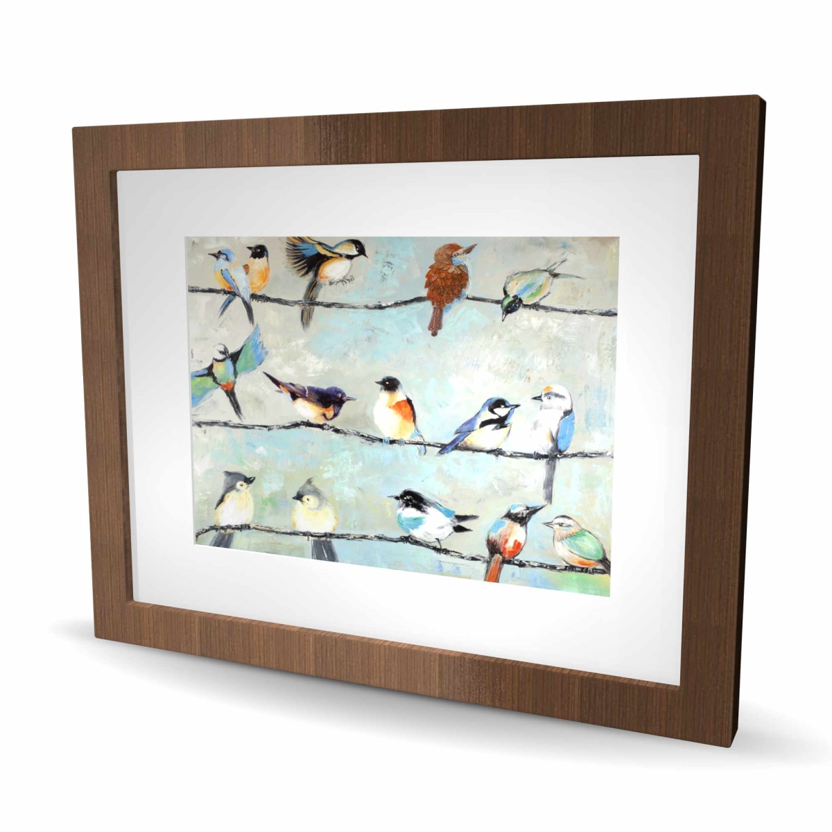 C1FM1620BOUVCL 16 x 20 in. Small Colorful Birds Framed Matted Print - Home Decor Art
