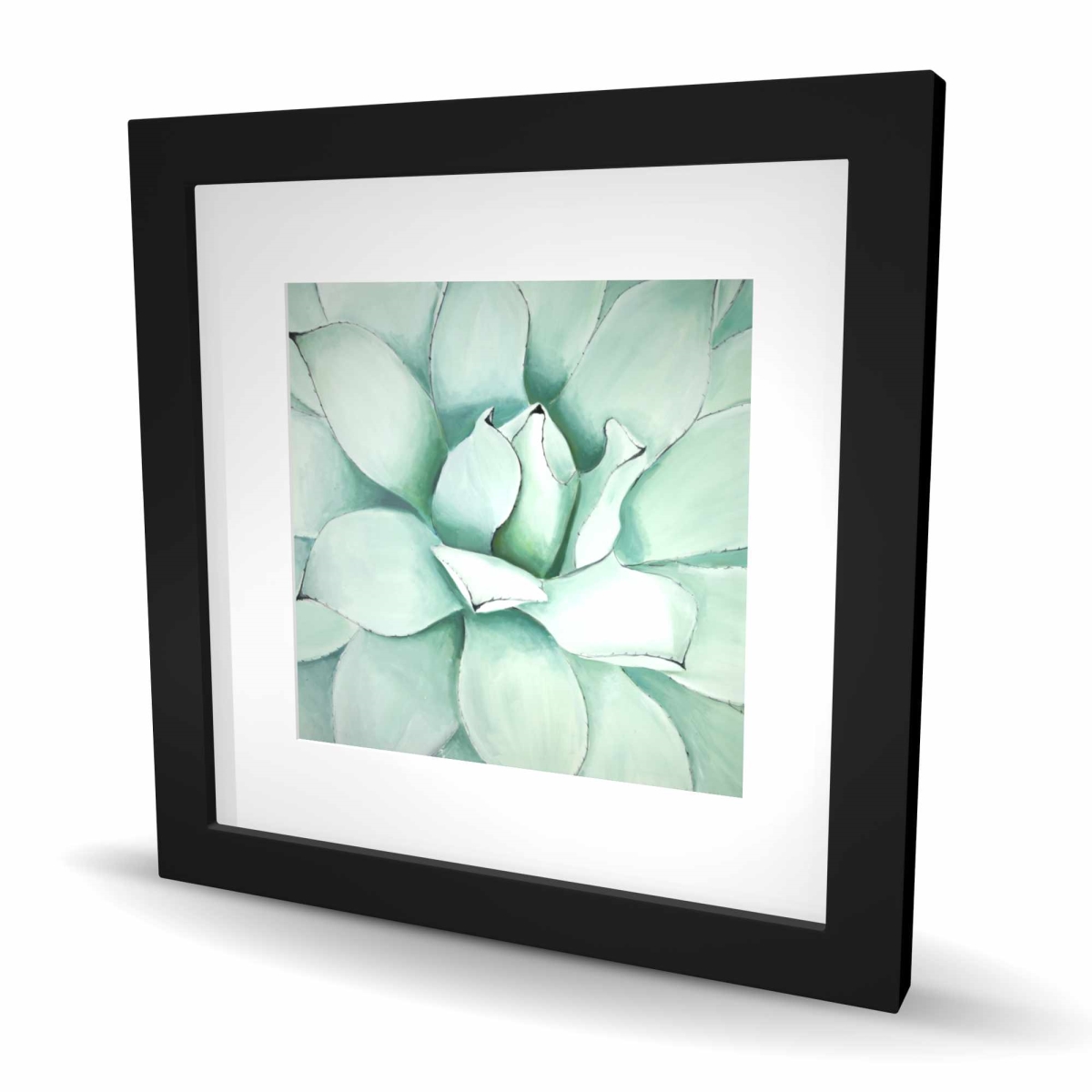 C1FM16166DF4QZ 16 x 16 in. Succulent Closeup - Botanical Framed Print for Home Decor