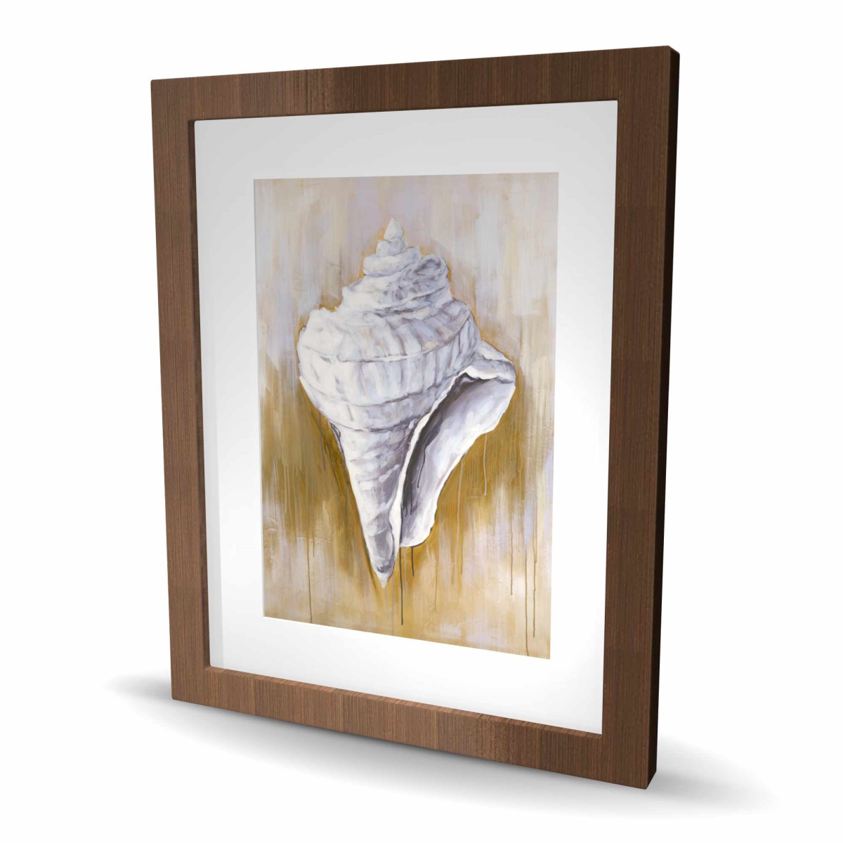 C1FM1620THZPAR 16 x 20 in. Conical Shell - Coastal Framed Matted Print for Home Decor