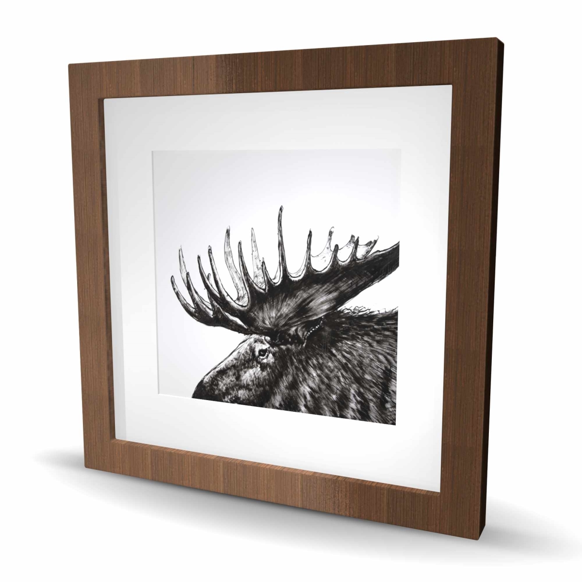 C1FM1616KE9DAL 16 x 16 in. Moose Plume - Deer Black & White Framed Matted Print Decor