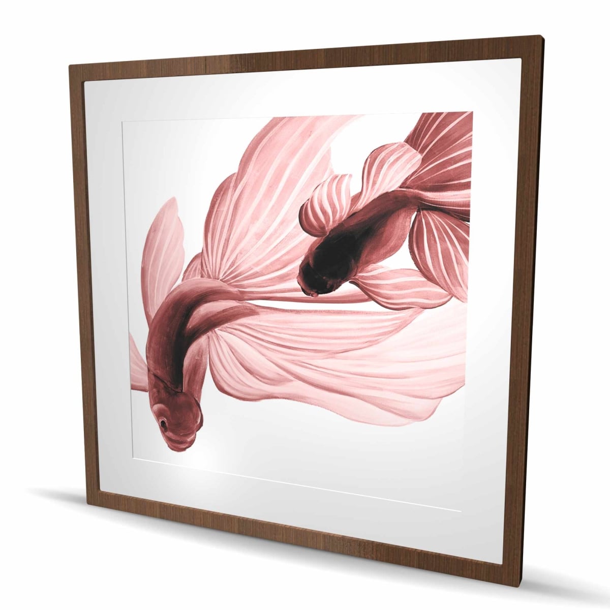 C1FM3636QFE5BZ 36 x 36 in. Red Betta Fish Print - Framed Matted Aquatic Home Decor