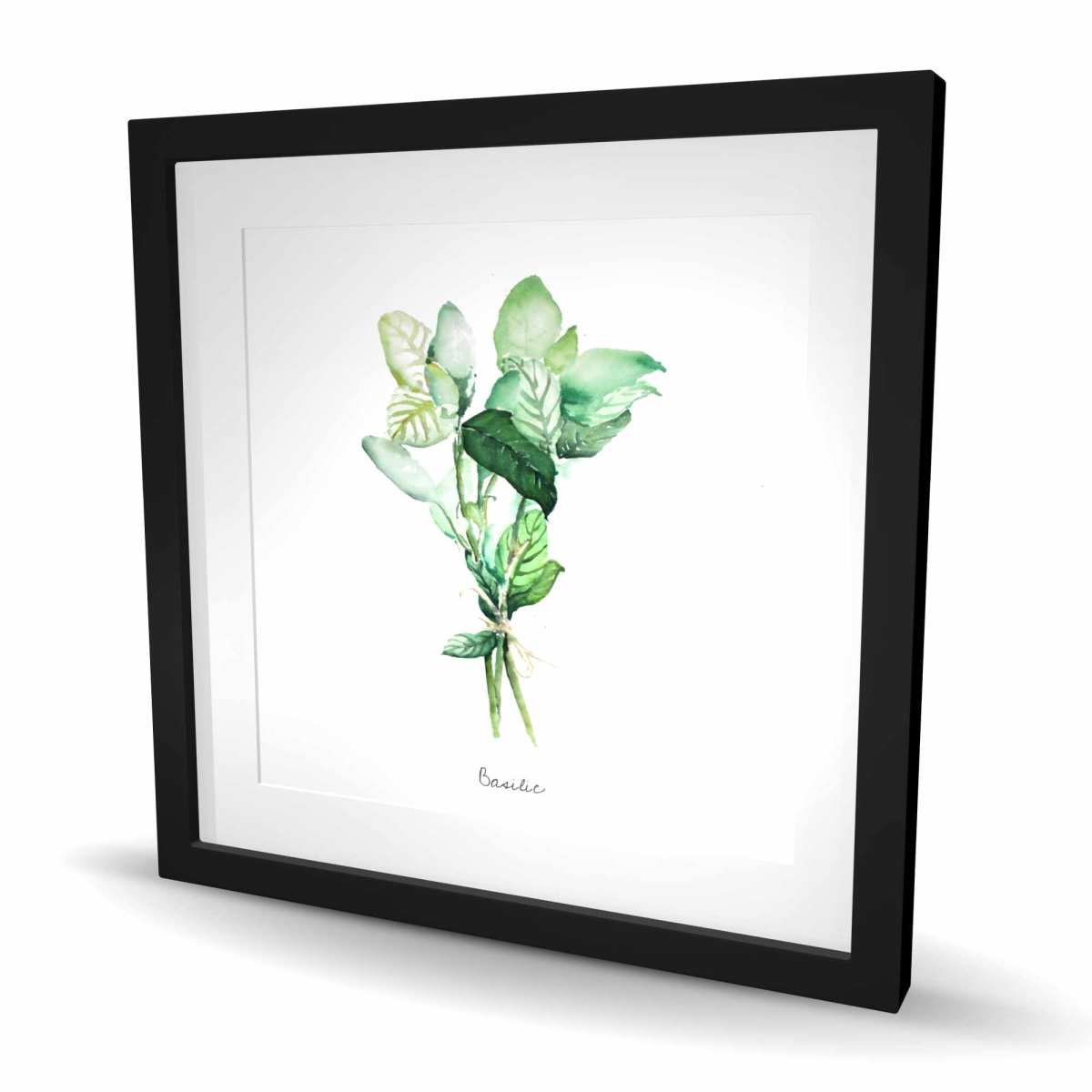 C1FM2424CHKQFV 24 x 24 in. Tied Up Basil Leaves Bundle - Framed Kitchen Print for Decor