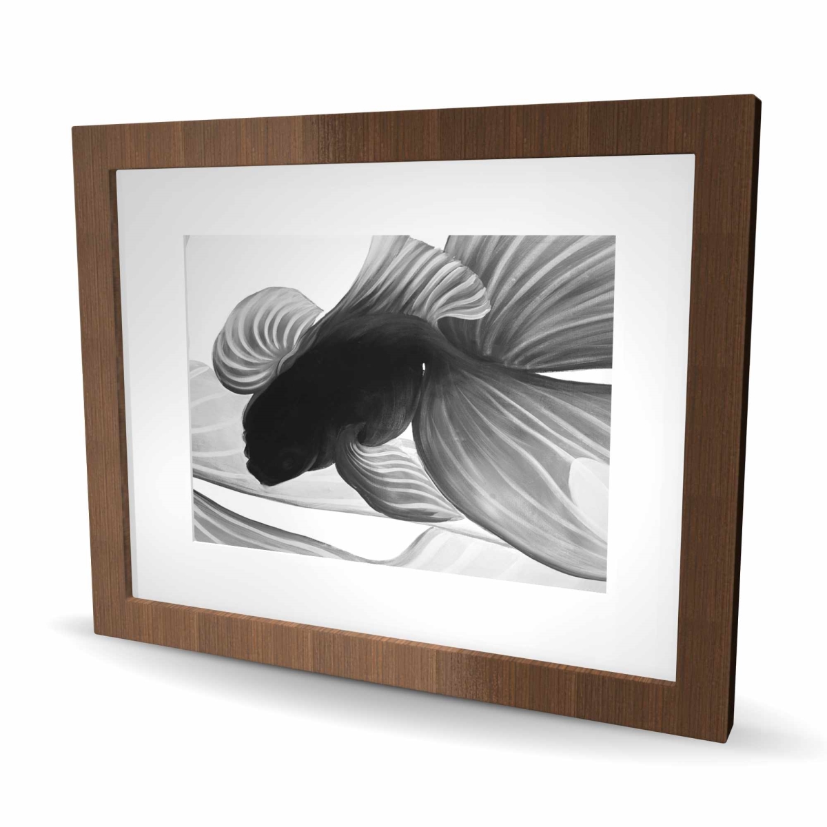 C1FM162003QUC4 16 x 20 in. Monochrome Two Betta - Exotic Animals Matted Print Decor