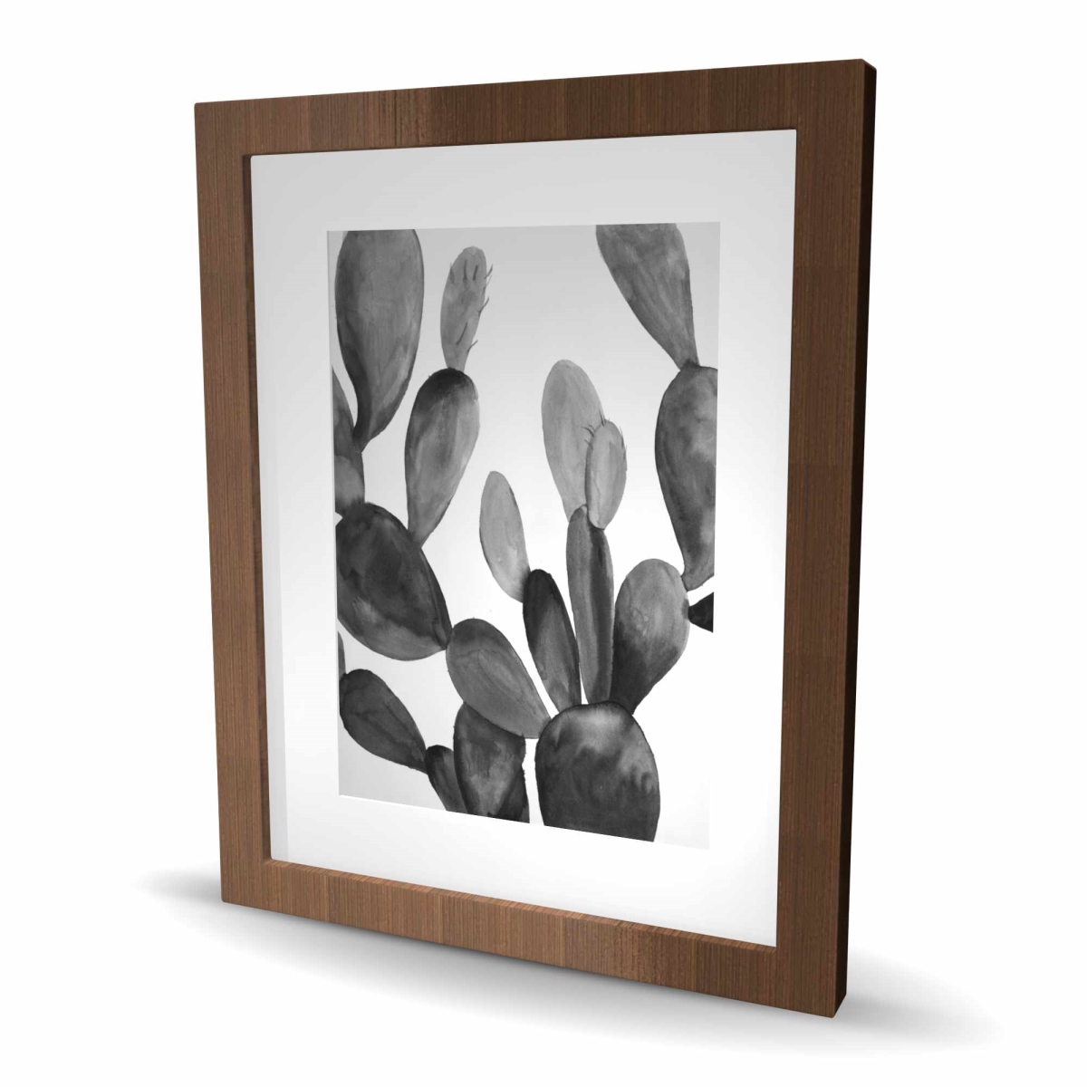 C1FM1620XMSIMZ 16 x 20 in. Grayscale Cactus - Exotic Framed Matted Print for Home Decor