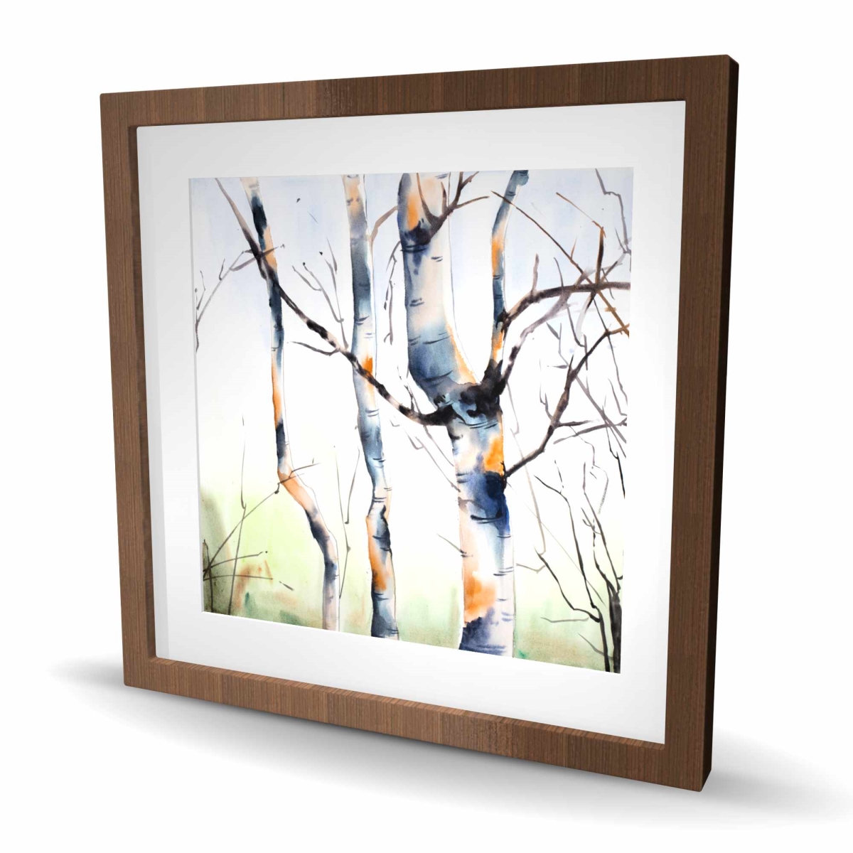 C1FM2424MI9DJW 24 x 24 in. Three Small Birch Trees - Framed Matted Print for Home Decor
