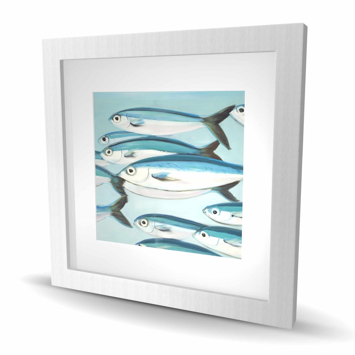 C1FM1616ZN01ZC 16 x 16 in. Small Fish Caesio Caerulaurea Framed Matted Print - Decor