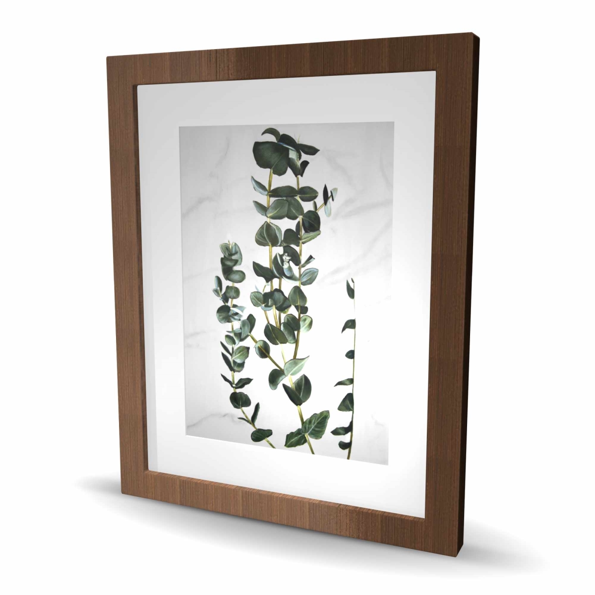 C1FM162034RML2 16 x 20 in. Eucalyptus Stems - Botanical Framed Print for Home Decor