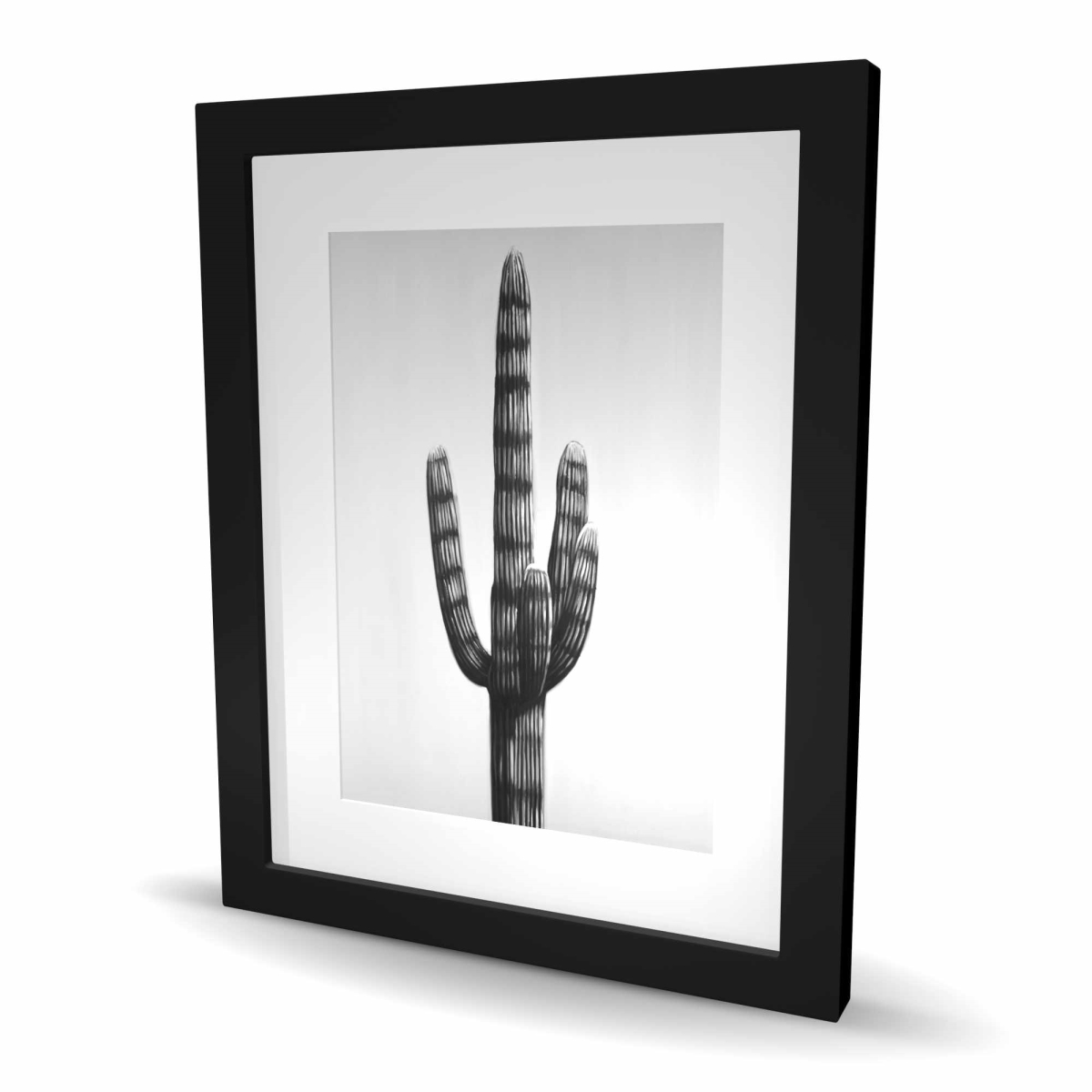 C1FM1620SGI2FW 16 x 20 in. Large Cactus Monochrome White Framed Print - Home Decor