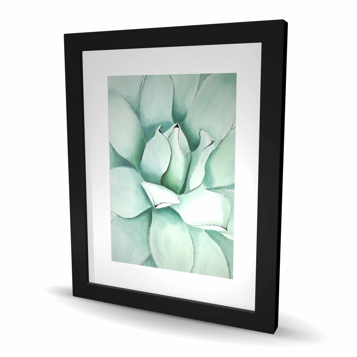 C1FM1620PTYJ4C 16 x 20 in. Succulent Closeup - Exotic Kitchen Framed Matted Print Decor