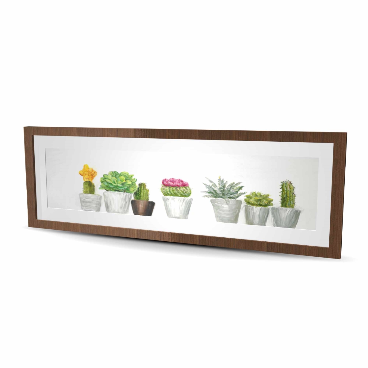 C1FM1648ONEM8E 16 x 48 in. Mini Cactus & Succulents - Exotic Framed Matted Print