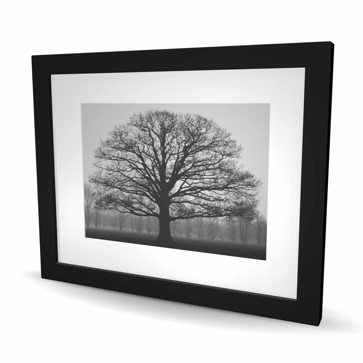 C1FM16205VHN4Q 16 x 20 in. Ominous Tree - White Framed Matted Print for Home Decor