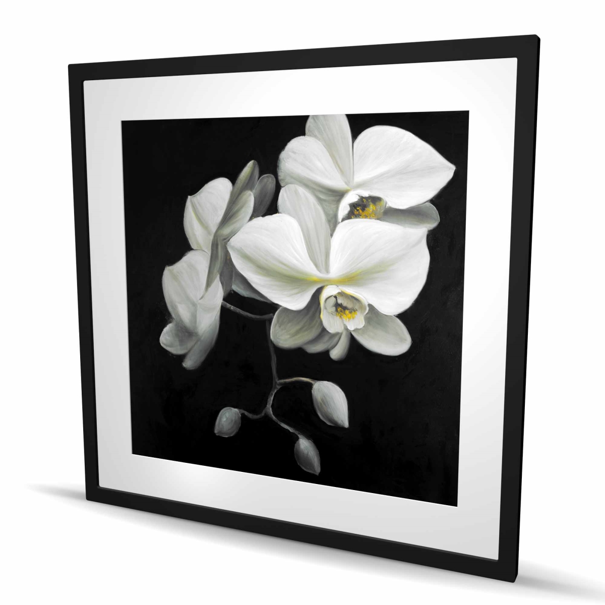 C1FM3636C3LR1M 36 x 36 in. White Orchids - Framed Matted Print for Bathroom Decor