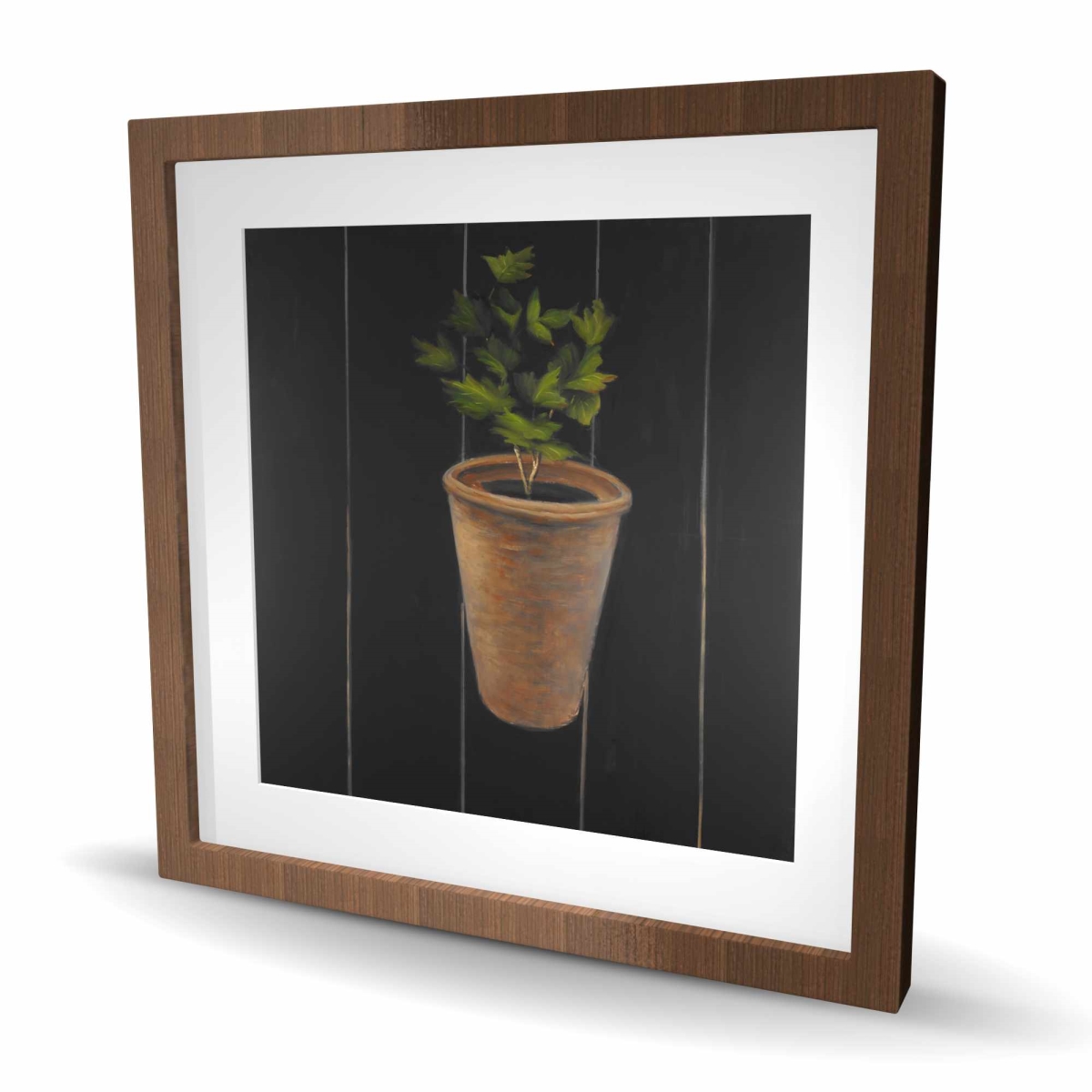 C1FM2424I7UAY0 24 x 24 in. Plant of Parsley Still Life Kitchen Print - Home Decor Art