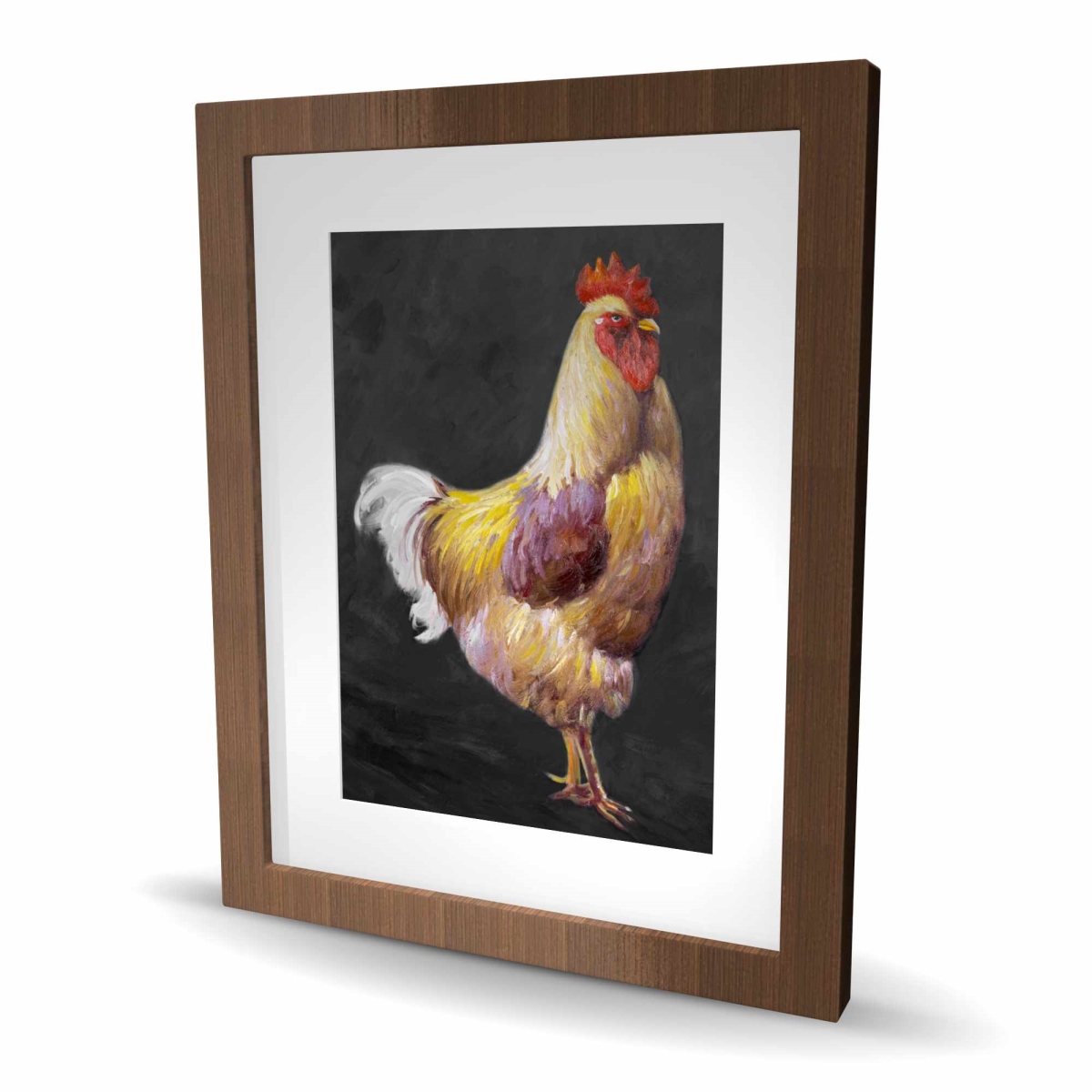 C1FM16203VZY05 16 x 20 in. Beautiful Rooster 2 - Framed Matted Print - Kitchen Decor
