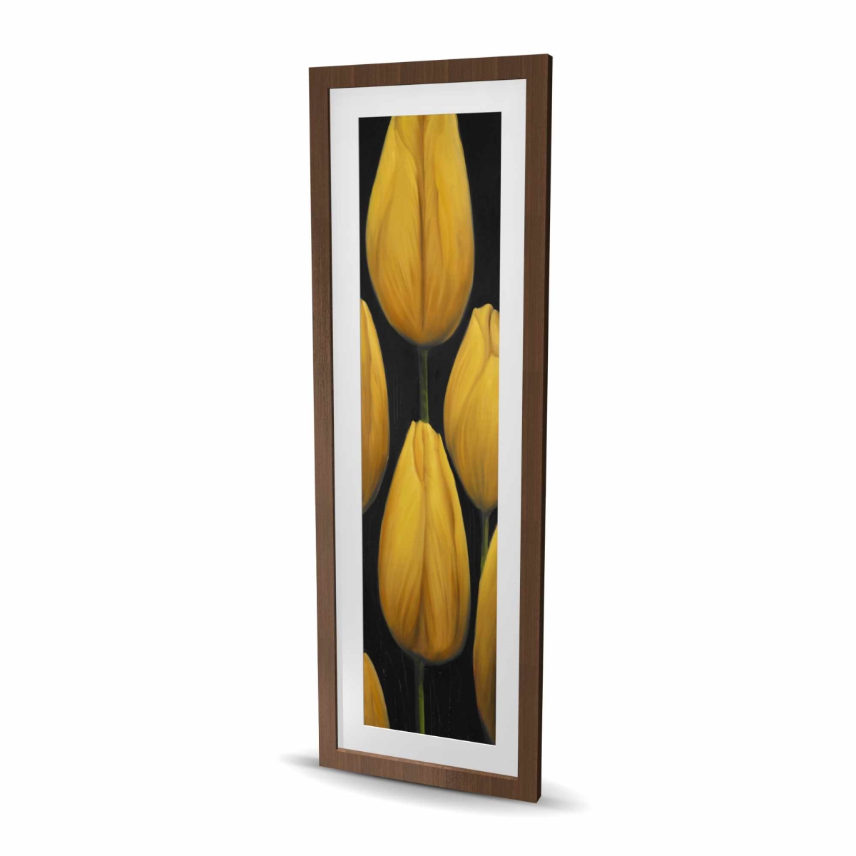 C1FM1648C8SRJ2 16 x 48 in. Six Daffodils Flowers - Framed Matted Print for Home Decor