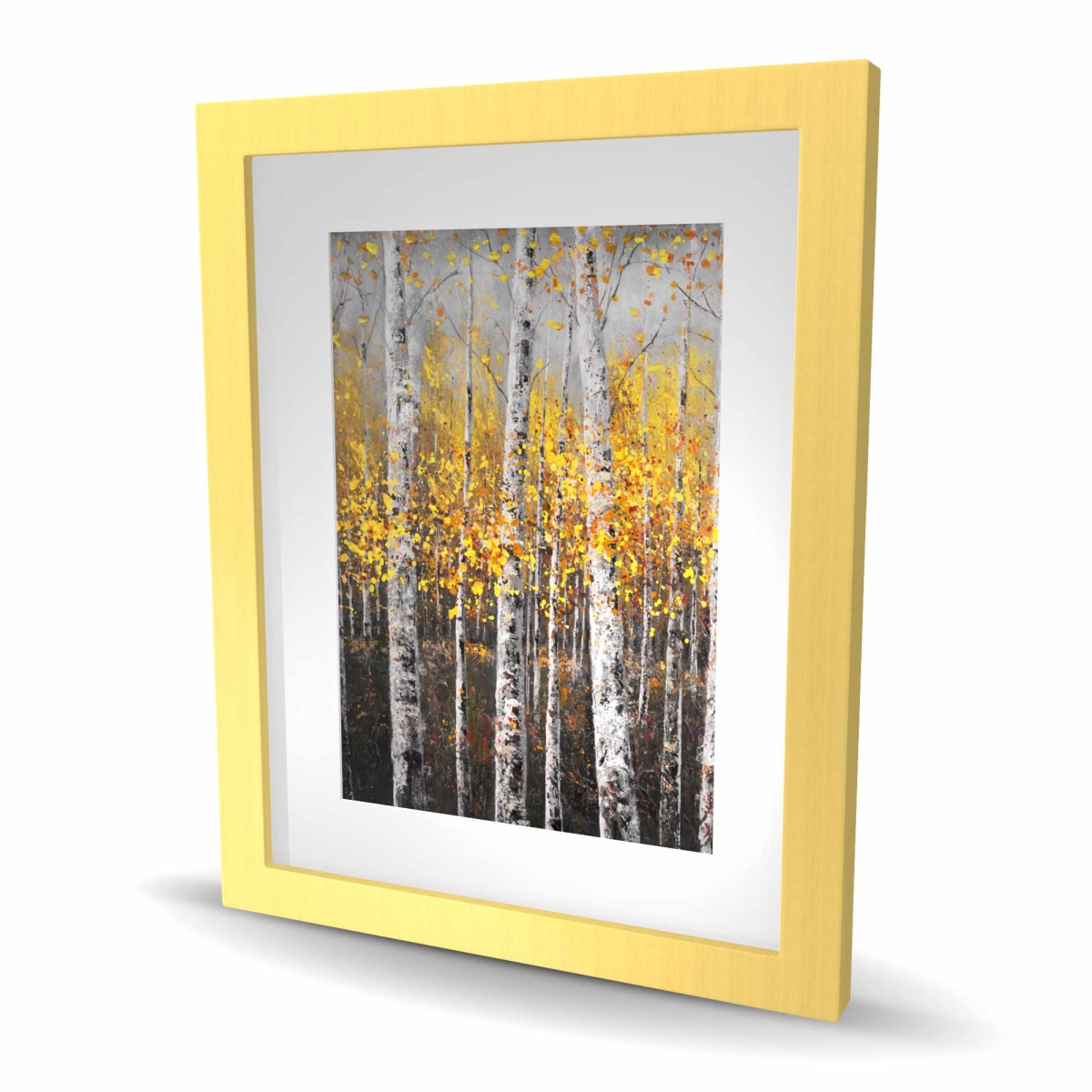 C1FM16209IPVV5 16 x 20 in. Sunny Birch Trees - Framed Matted Print for Home Decor