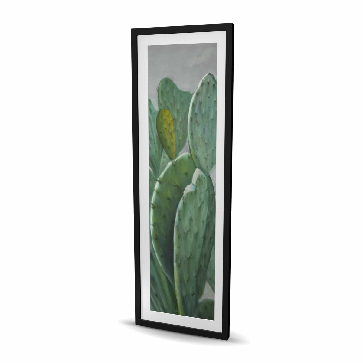 C1FM206022NGUO 20 x 60 in. Paddle Cactus - Exotic Framed Matted Print for Home Decor