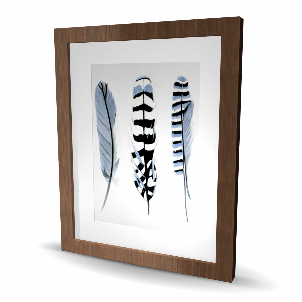 C1FM1620AGP4NS 16 x 20 in. Delicate Feathers - Framed Matted Print for Home Decor