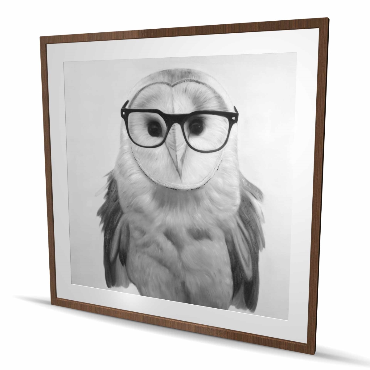 C1FM4848F9DR95 48 x 48 in. Realistic Barn Owl with Glasses - White Framed Matted Print