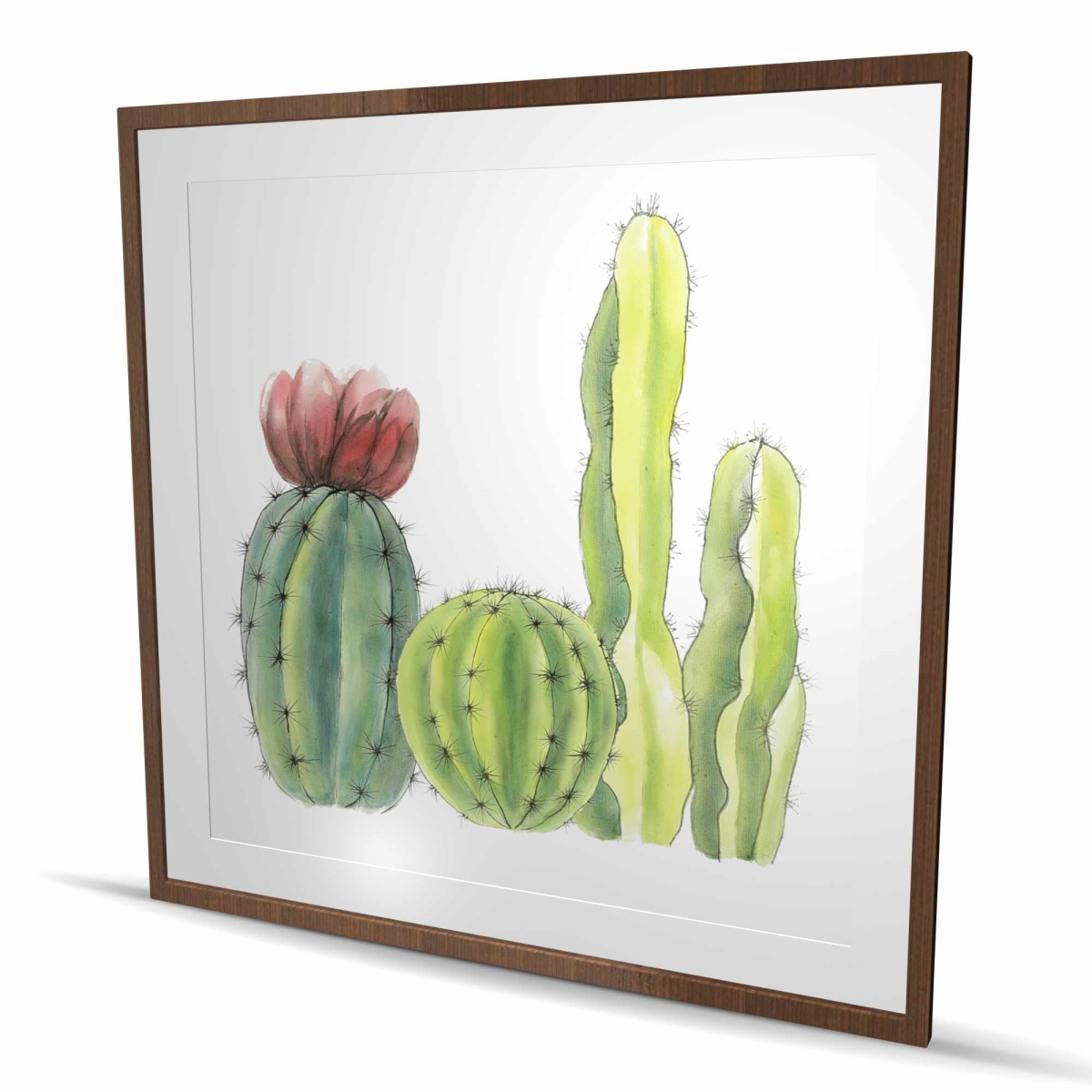 C1FM4848MVUCCS 48 x 48 in. Four Little Cactus - Framed Botanical Print for Home Decor
