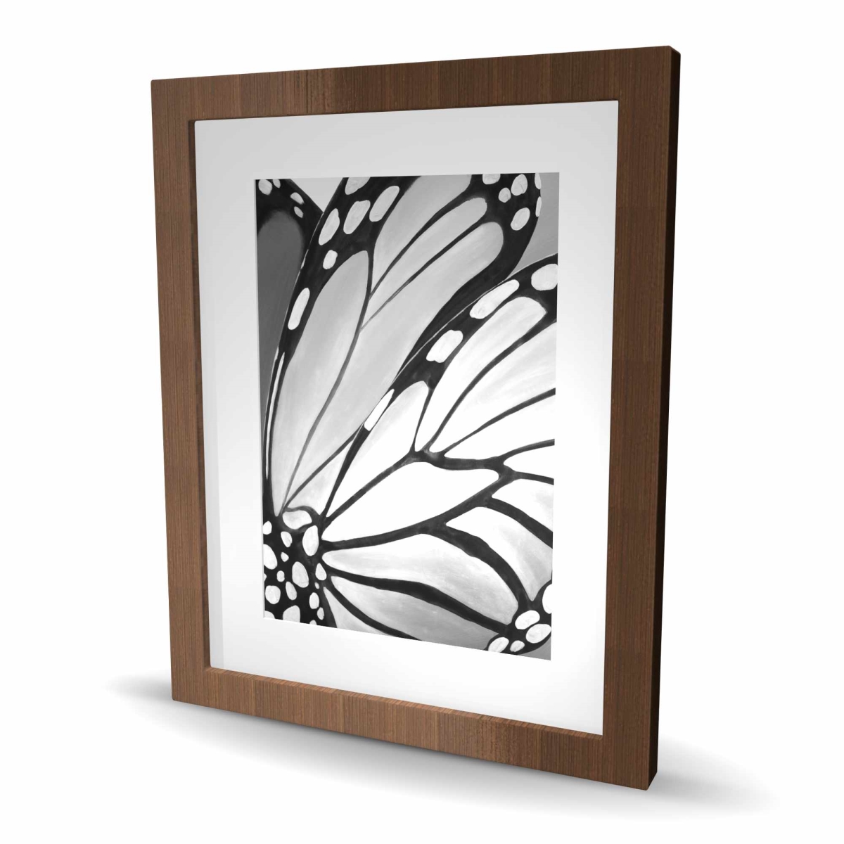 C1FM1620BTOROM 16 x 20 in. Monarch Wings Closeup - White Framed Matted Print for Decor