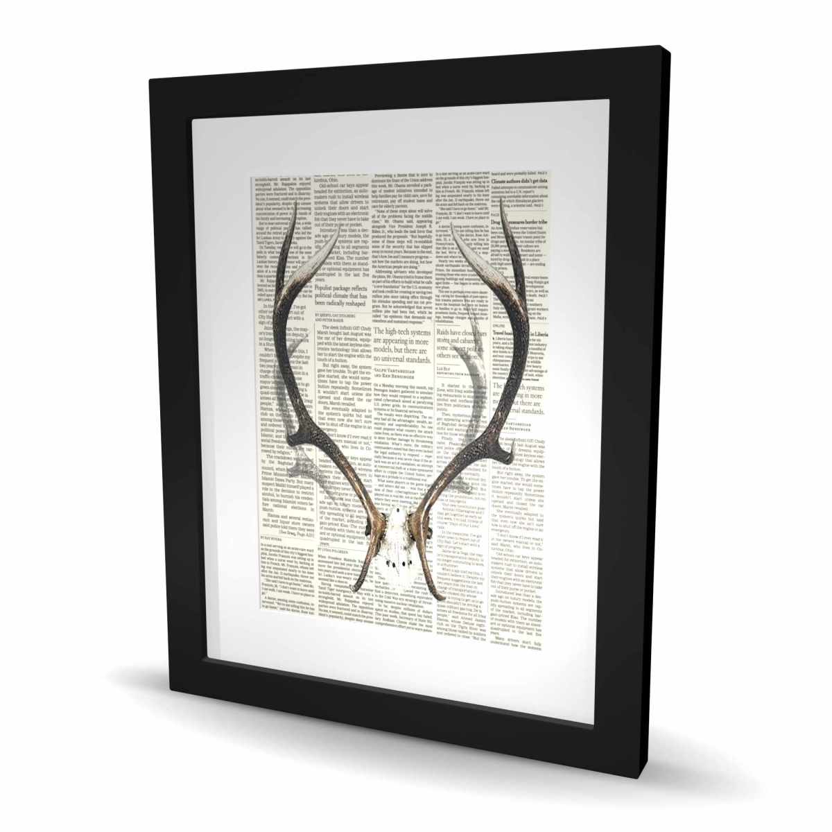 C1FM1620CK9XXT 16 x 20 in. Deer Horns with  spaper - Rustic White Framed Print