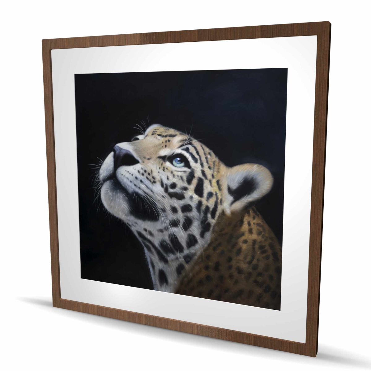 C1FM36364KQ23M 36 x 36 in. Realistic Leopard Face Print - Brown Framed Matted Decor