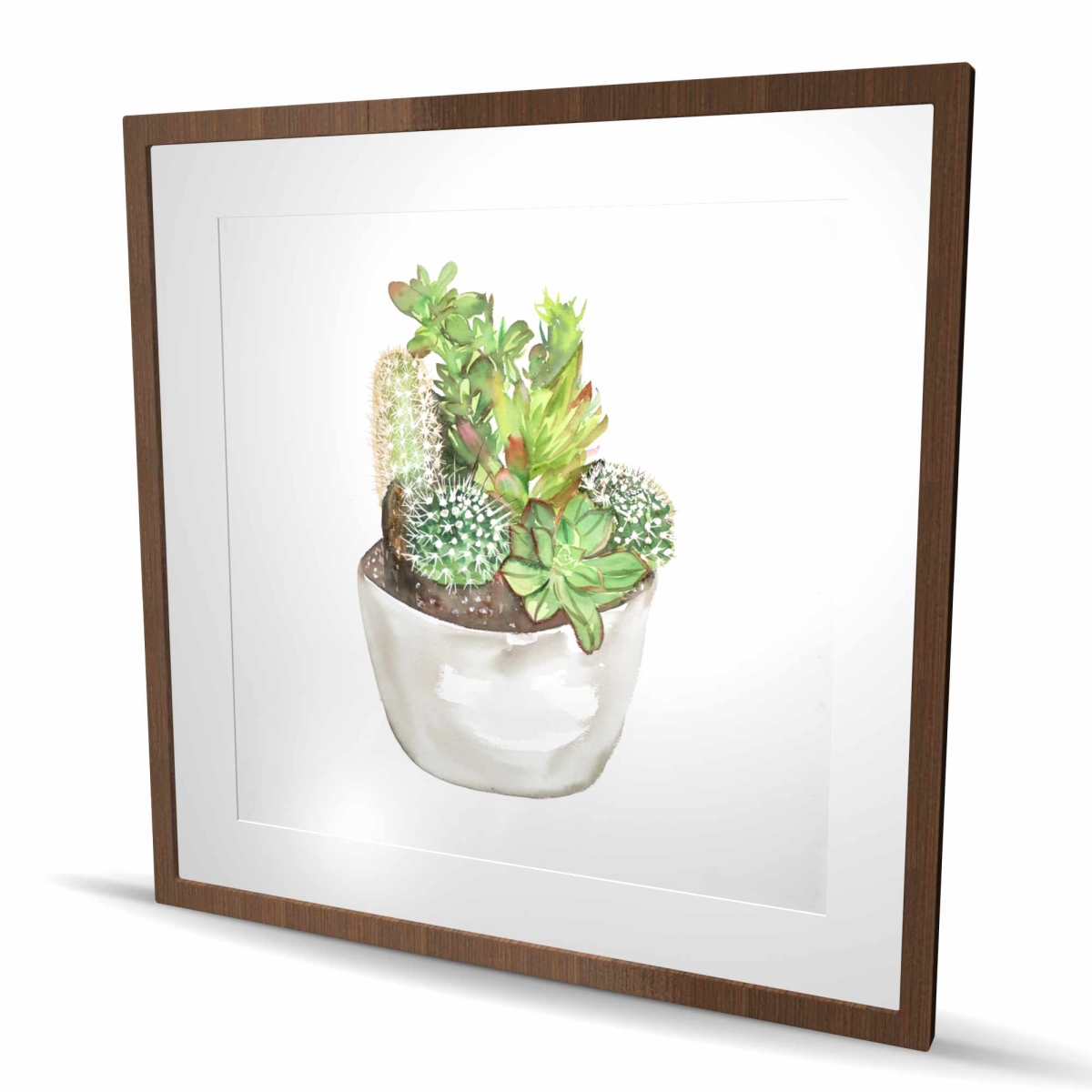 C1FM36366EKXHI 36 x 36 in. Cactus Assortment in A Pot - Exotic Kitchen Framed Print