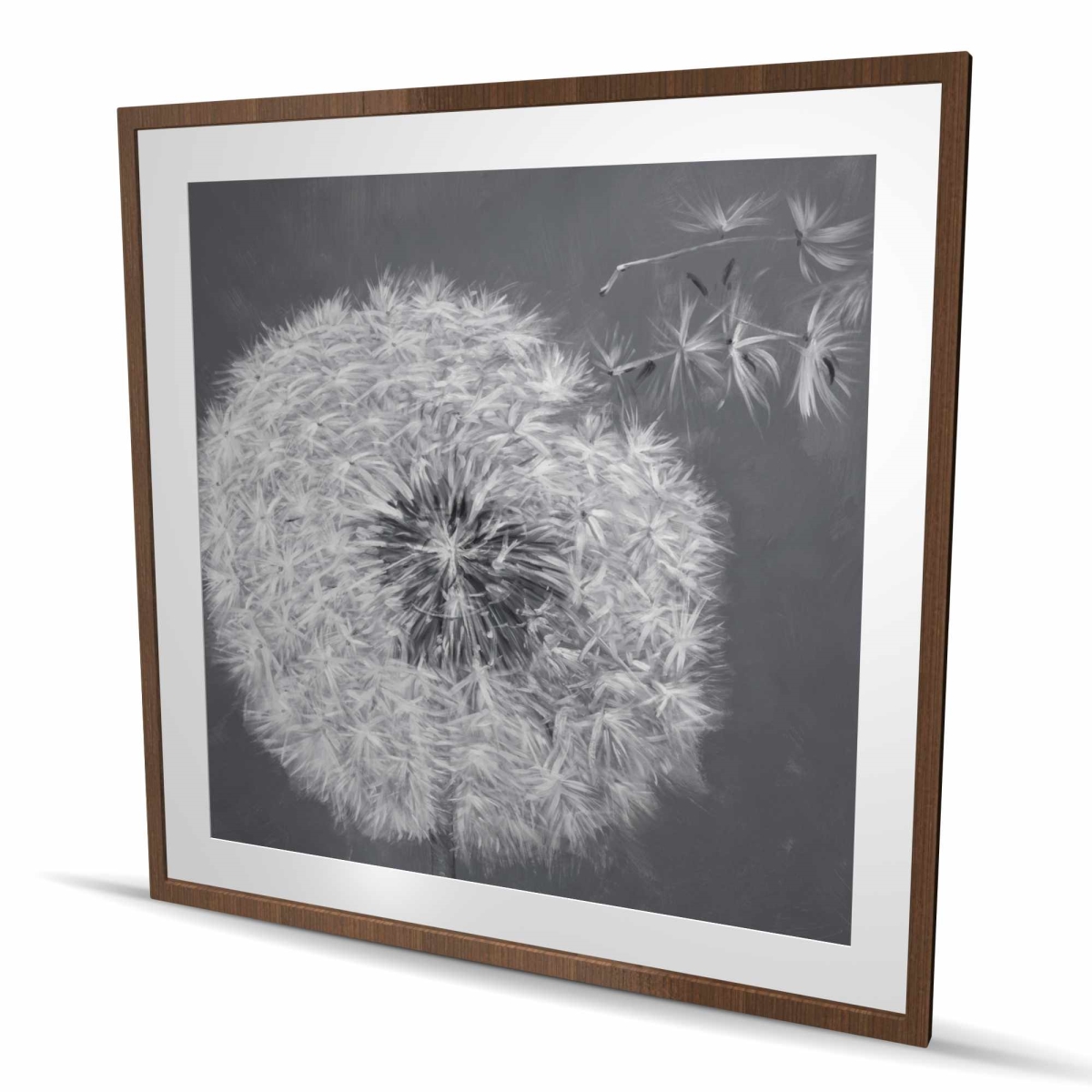C1FM4848CPB2LZ 48 x 48 in. Blowing Dandelion - Gray Framed Matted Print - Home Decor