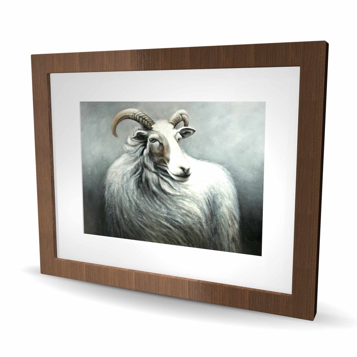 C1FM16204OXFBE 16 x 20 in. Cashmere Goat - White Rustic Framed Matted Print for Decor