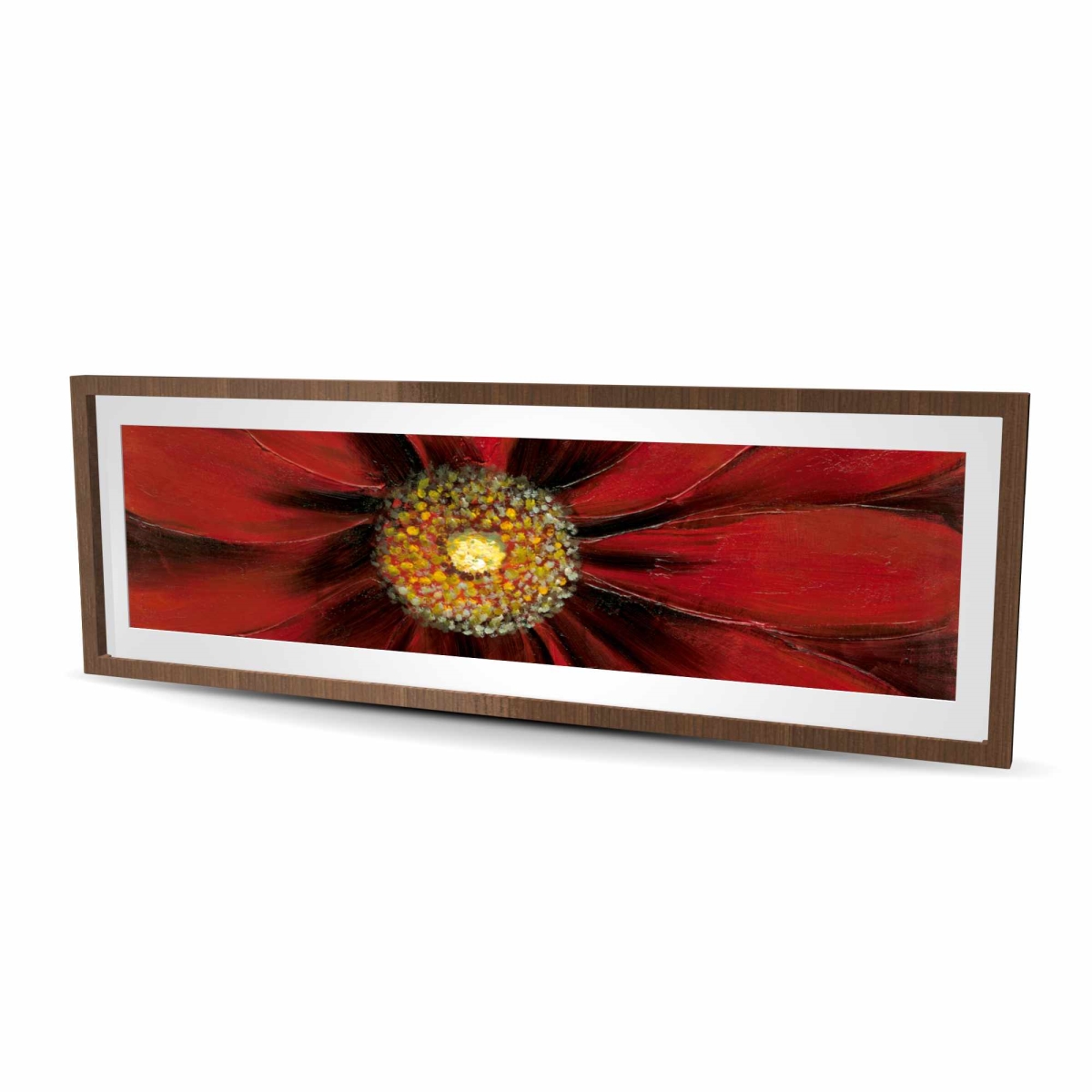 C1FM20607HQ7J1 20 x 60 in. Red Daisy - Framed Matted Print for Floral Home Decor