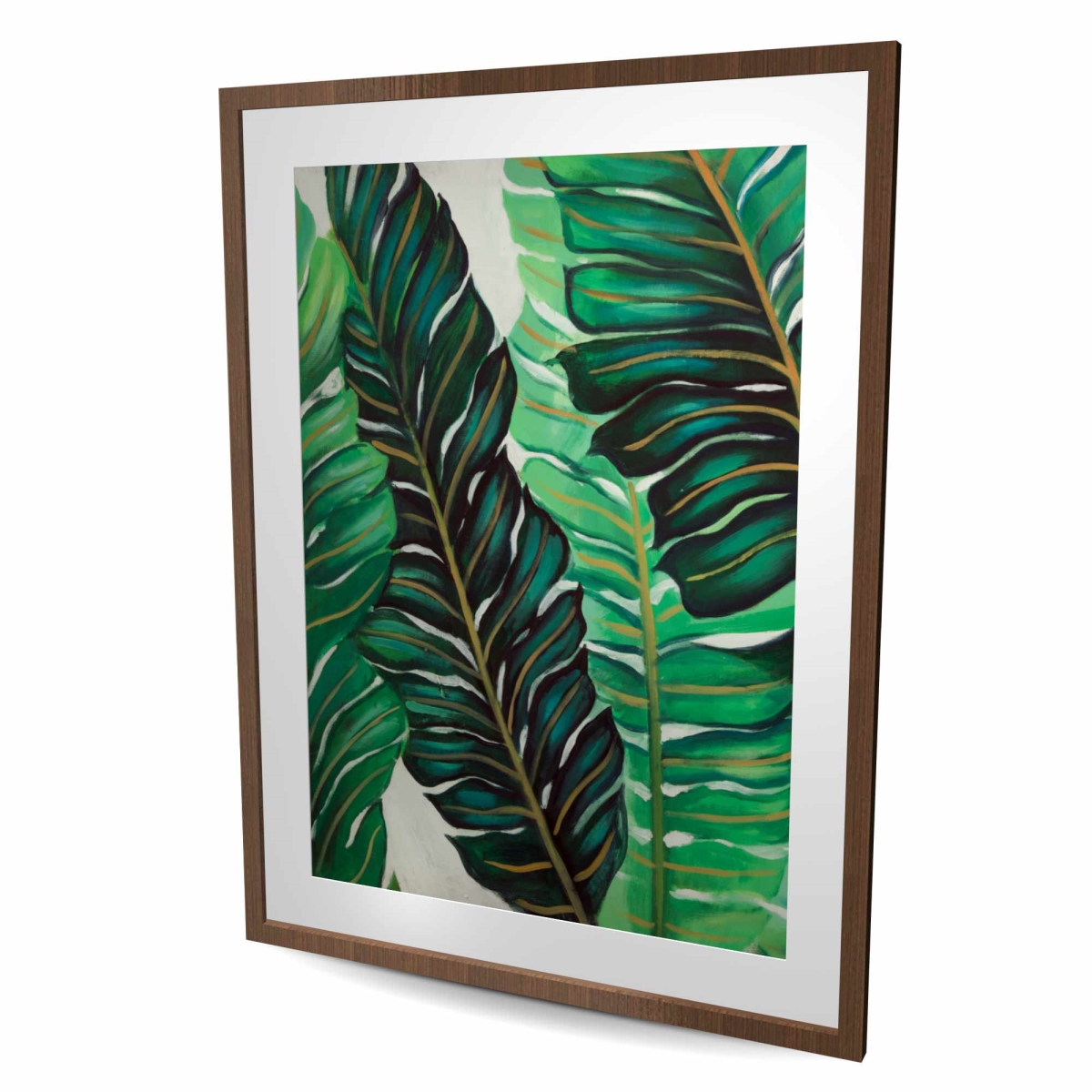 C1FM36482G7E0D 36 x 48 in. Several Exotic Plant Leaves - Framed Matted Print for Decor