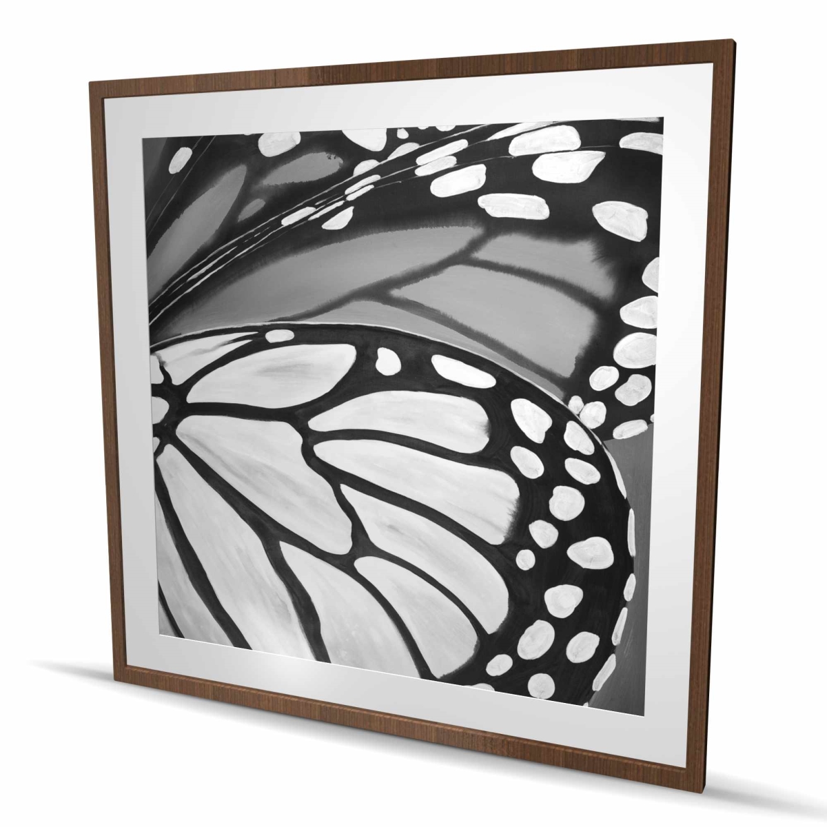 C1FM48482PCWT6 48 x 48 in. Butterfly Wings Closeup - Black Framed Matted Print Decor