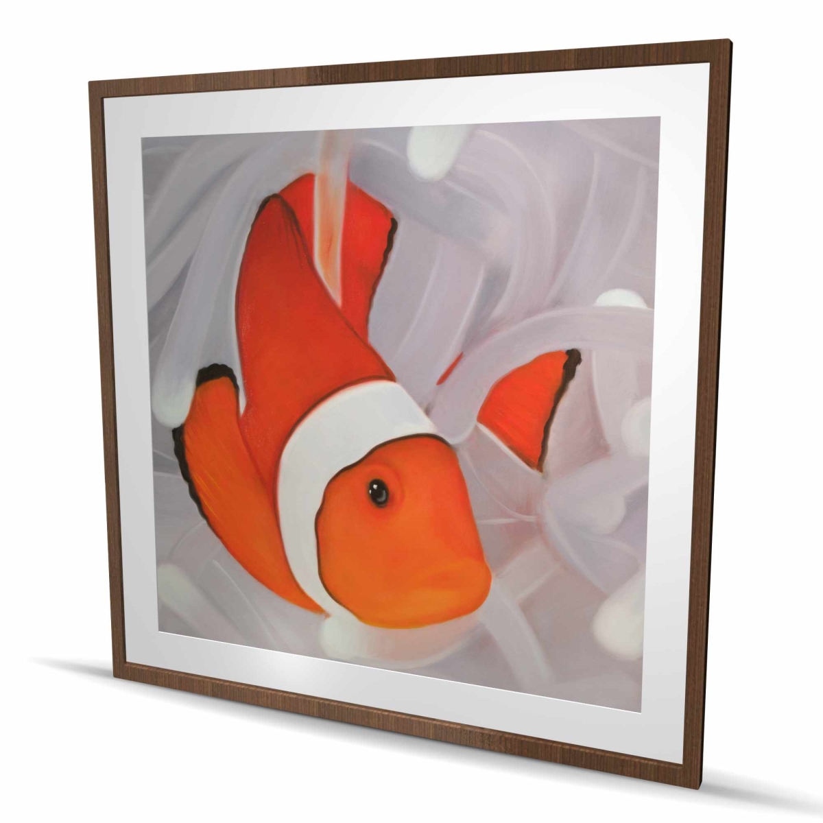C1FM48485OX64D 48 x 48 in. Clownfish Under the Sea - Framed Matted Print for Home Decor