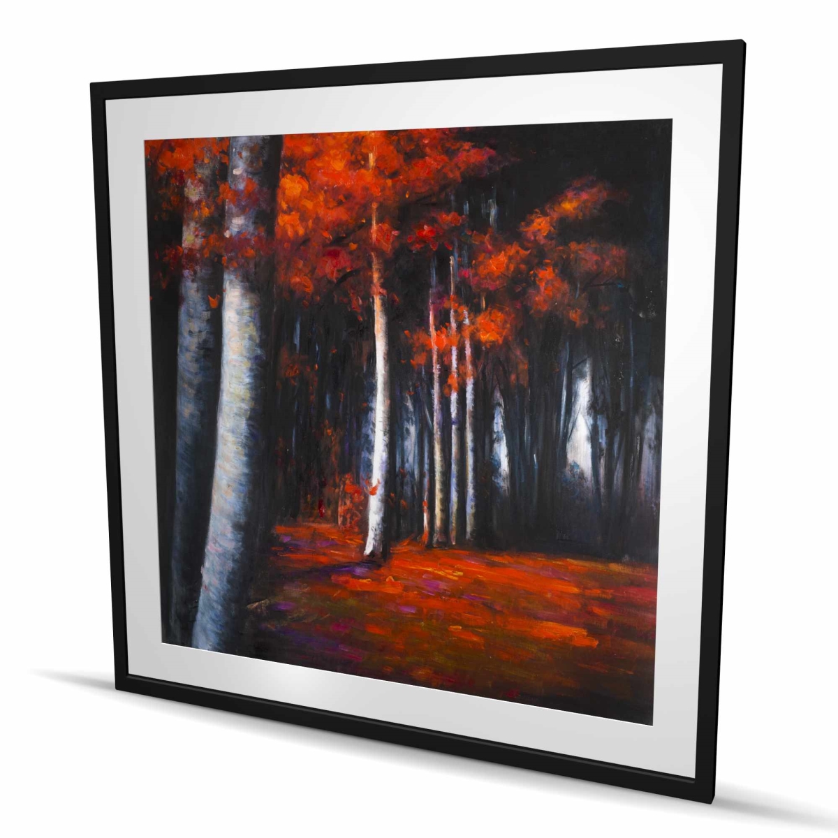 C1FM4848G72J08 48 x 48 in. Mysterious Forest - Framed Matted Print for Home Decor